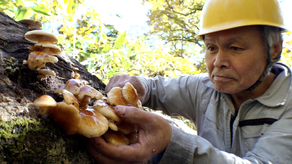 理事長　志賀茂